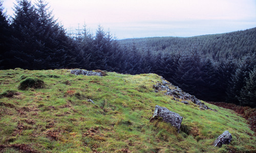 A hilly clearing in a forest with a few remains of stone walls.