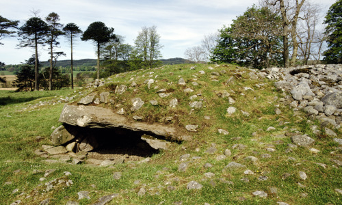 A rocky mound in a grassy landscape with a hole on one side, making it look like a turtle. 