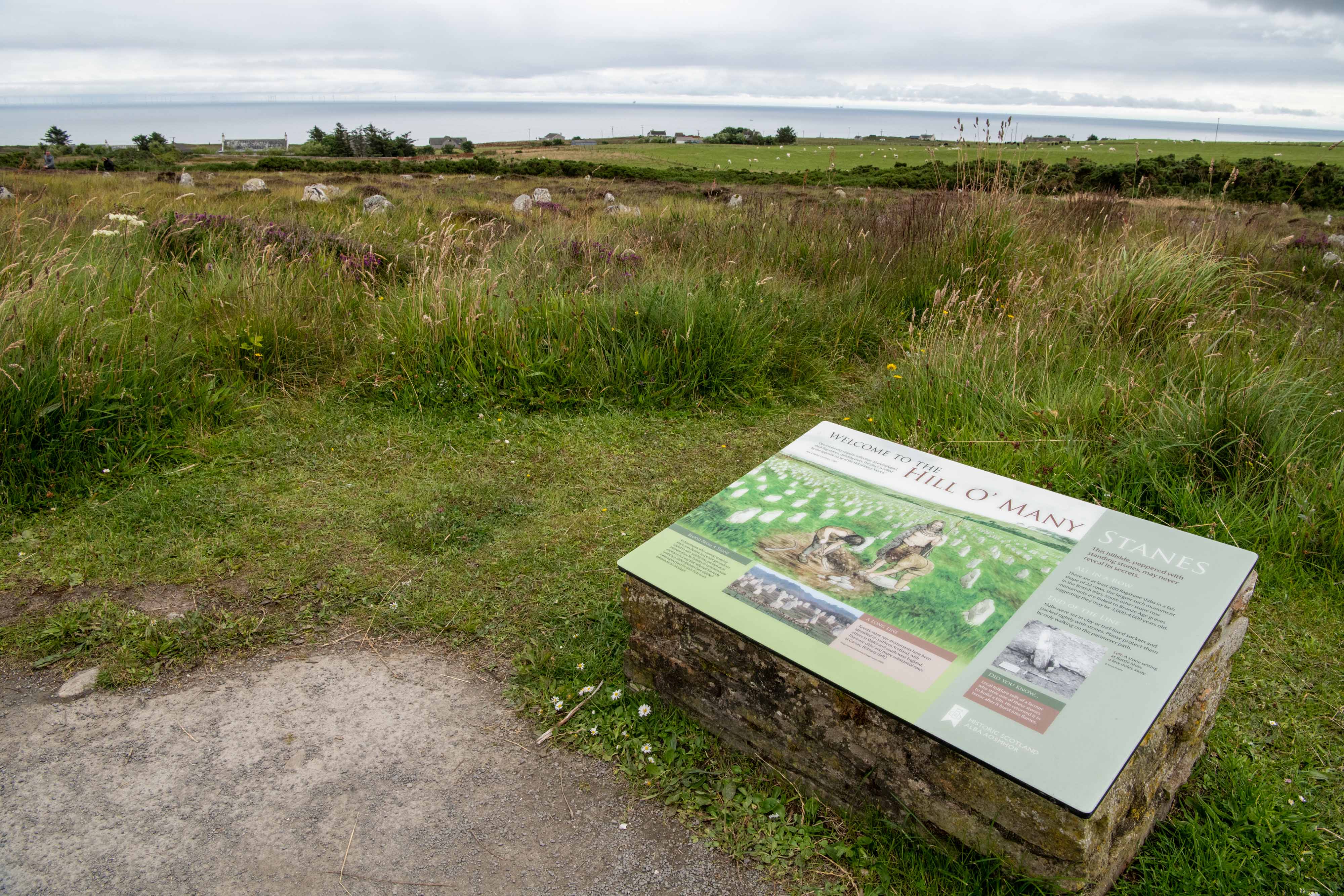 An interpretation sign giving historical background, in a grassy field