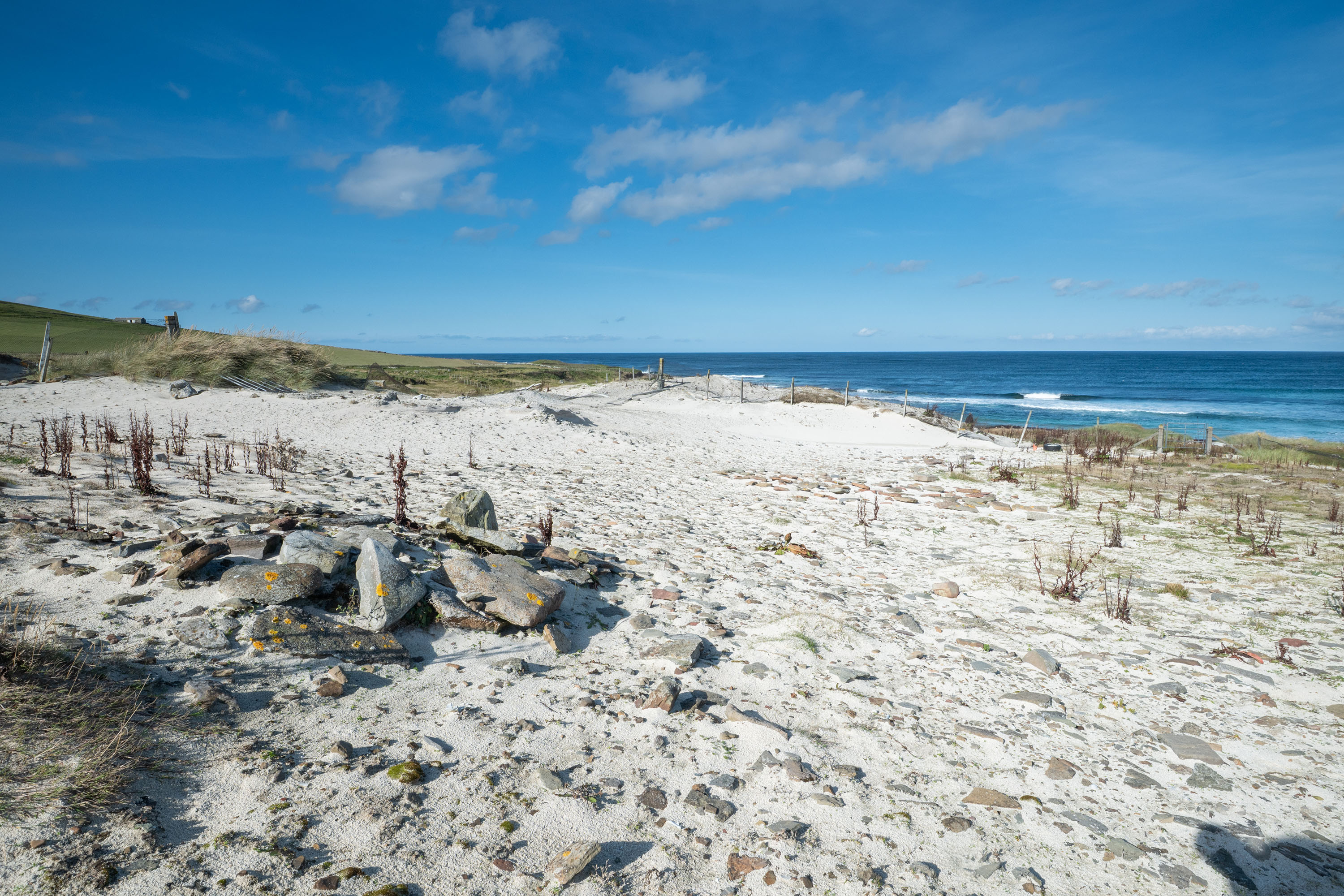 Coastal view at the Links of Noltland showing bright white sand dunes stretching across the foreground, dotted with scattered stones and low vegetation. Towards the left, grassy slopes rise gently from the edge of the dunes. To the right, the deep blue sea meets the shoreline with small waves rolling in. A line of fencing and sparse vegetation runs across the middle distance, with open fields and a clear blue sky overhead.