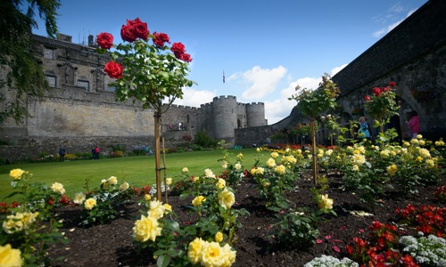 Garden within a courtyard in Stirling Castle. The garden features a large, grassy rectangle in the centre surrounded by flower borders featuring begonias, roses and shrubs.