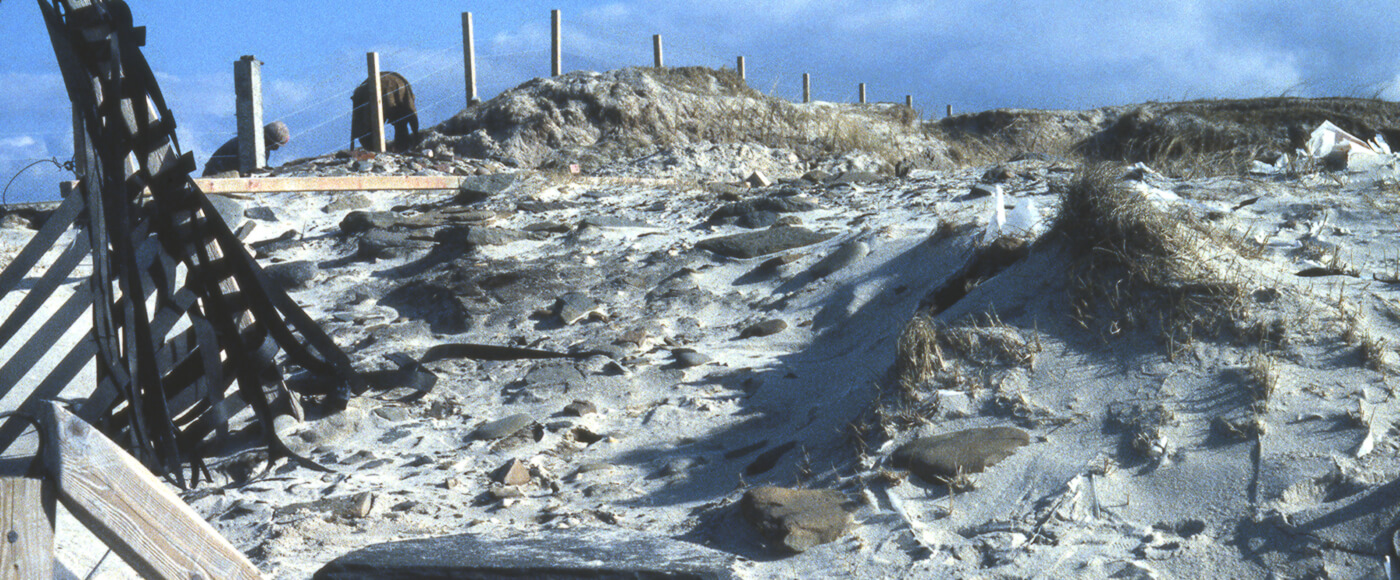 A general view of the Links of Noltland archaeological site.