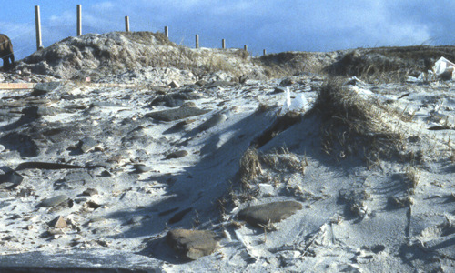 A general view of the Links of Noltland archaeological site.