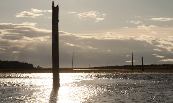 Posts and water at Cublin Sands.