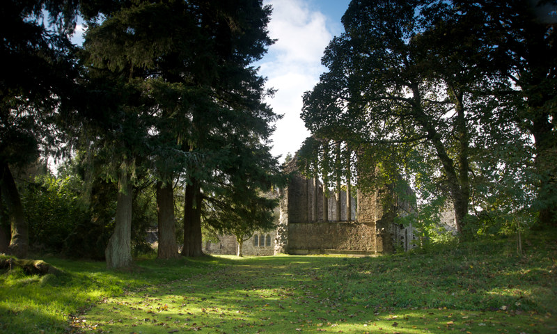 A view of woodland and the presbytery window at Inchmahome Priory.