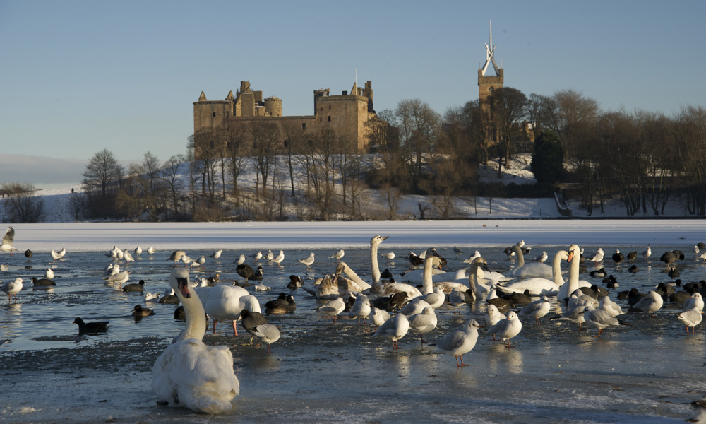 A wintry view across the loch to Linlithgow Palace.