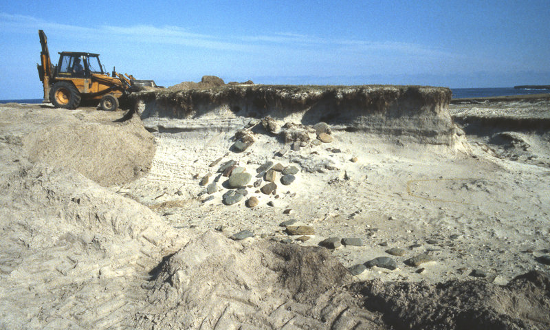 Bulldozer at work at the Links of Noltland