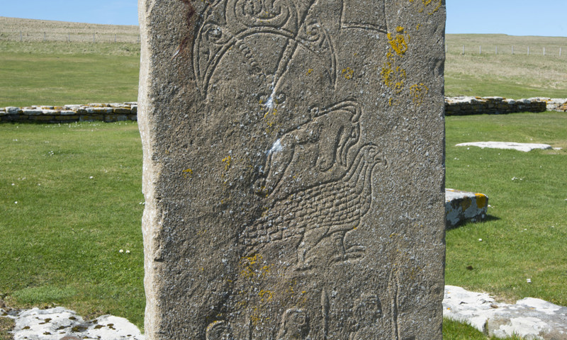 A large Pictish stone standing upright at Brough of Birsay.