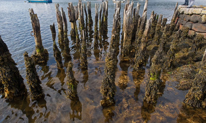 Remains at Loch Etvie
