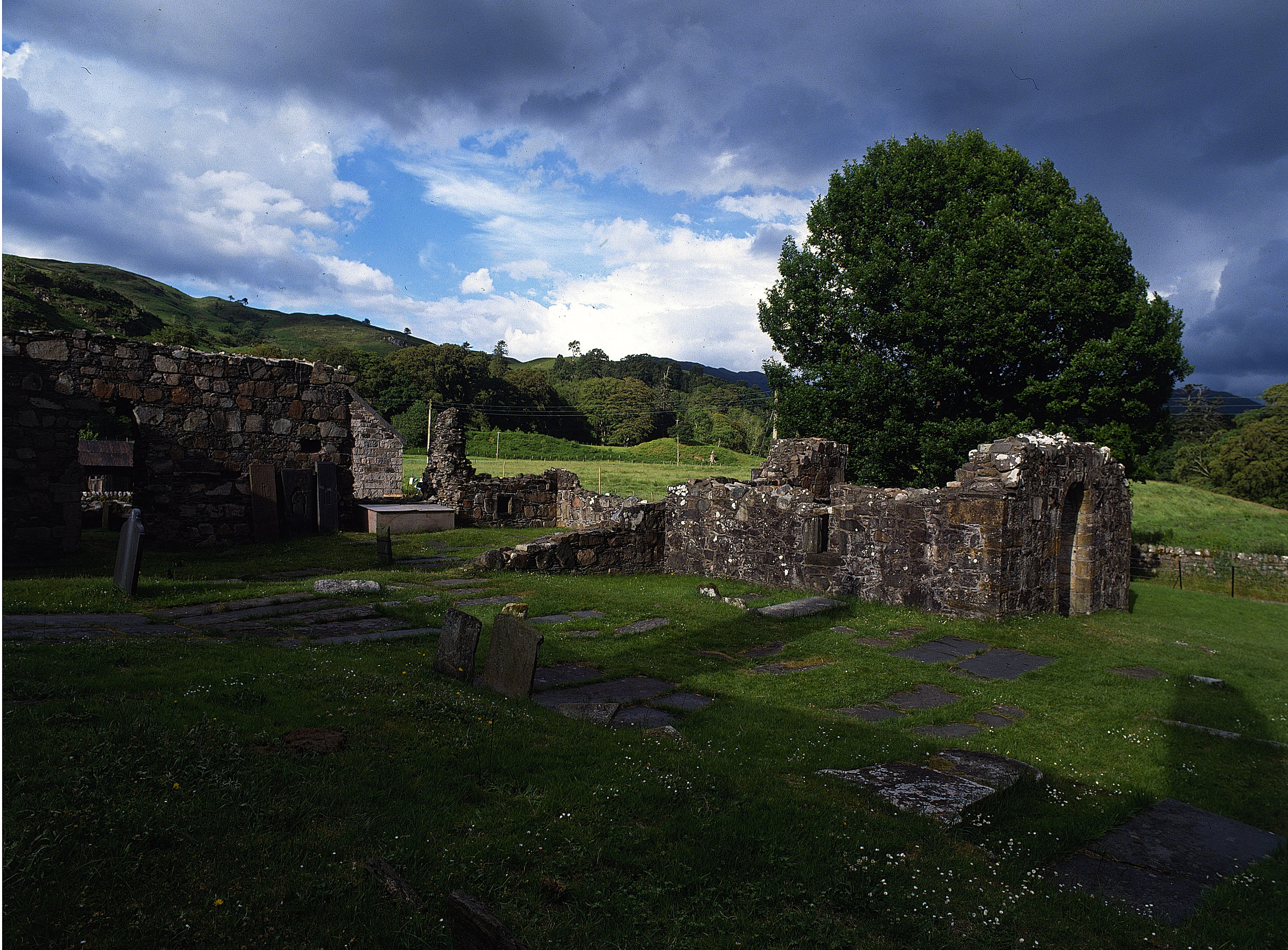 The ruins of Ardchattan Priory with a large oak tree in the background on a cloudy day
