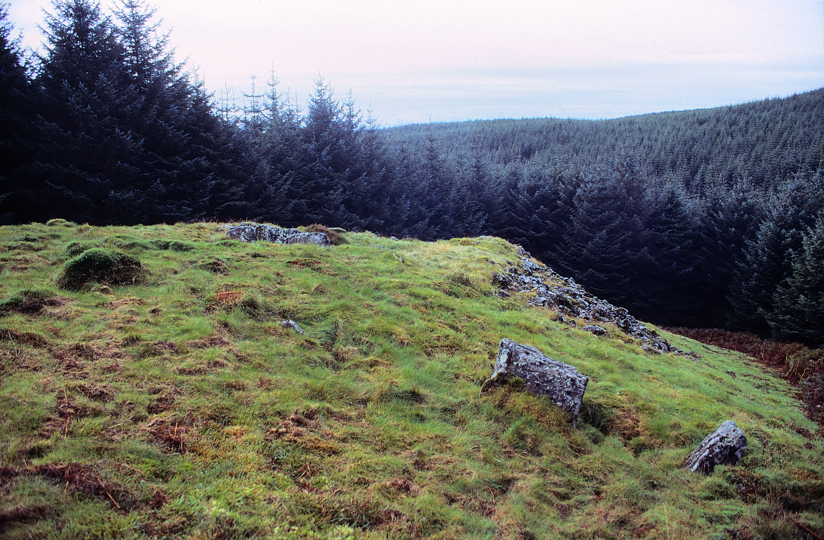 A hilly clearing in a forest with a few remains of stone walls.