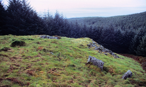 A hilly clearing in a forest with a few remains of stone walls.