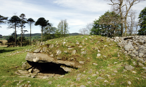 A rocky mound in a grassy landscape with a hole on one side, making it look like a turtle. 