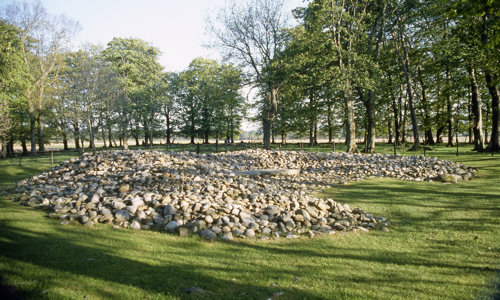 A large field of rocks that used to make up a cairn in a forest clearing.