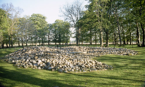 A large field of rocks that used to make up a cairn in a forest clearing.