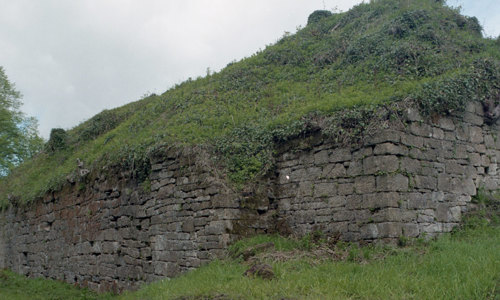 A photograph of an old building covered in grass and greenery on a cloudy day