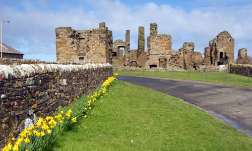 Daffodils along a stone wall leading to the ruins of Earl