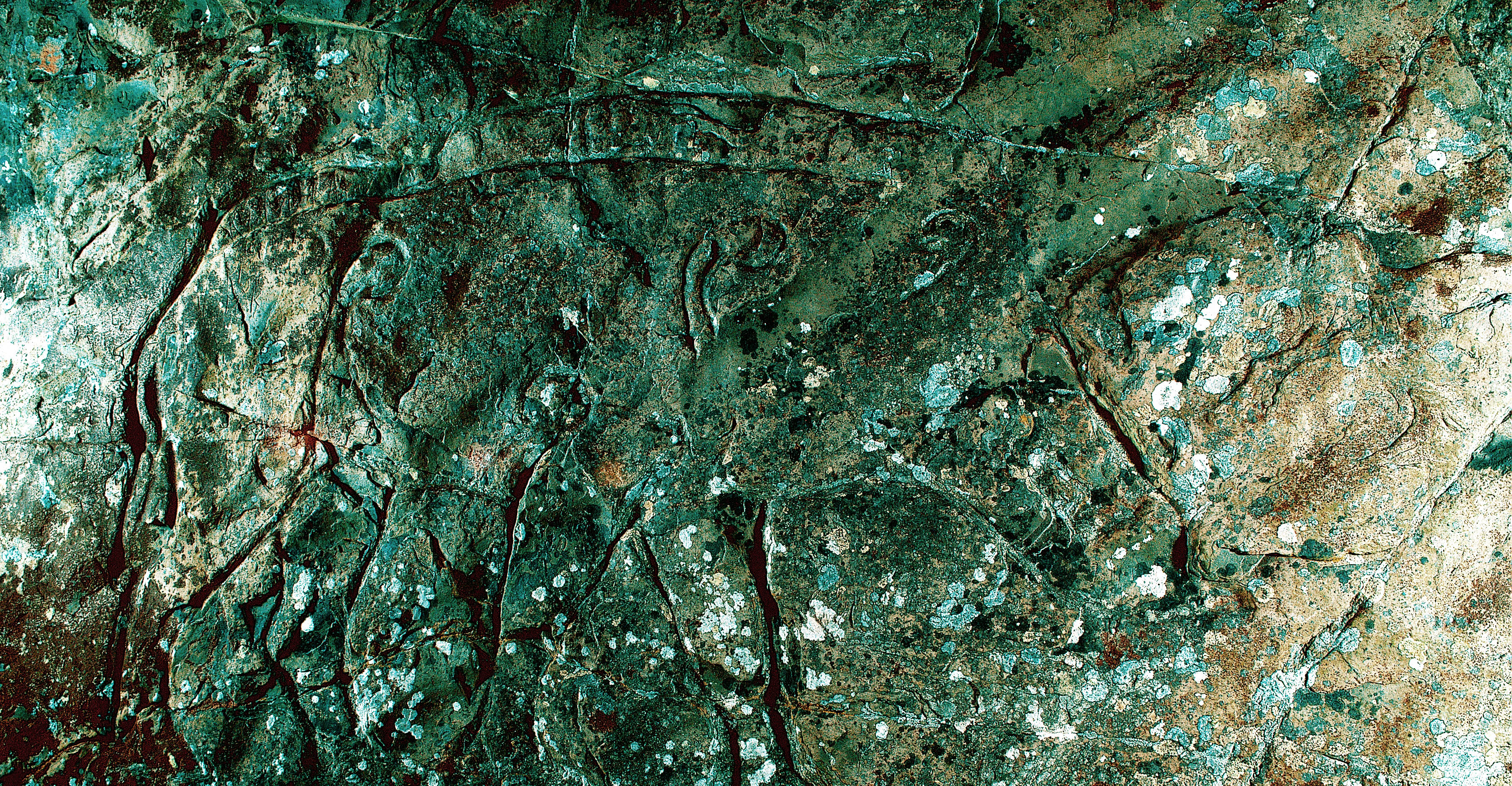 A faint boar carving on a greenish stone wall