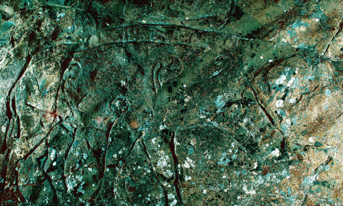 A faint boar carving on a greenish stone wall