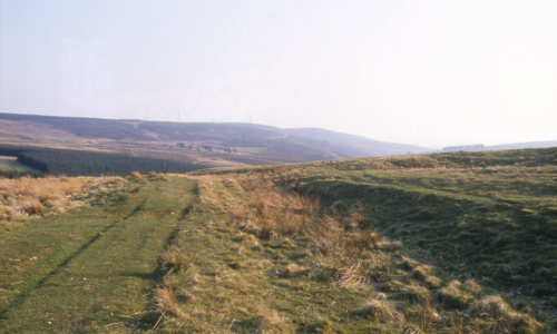 A grass covered straight road leading over a field