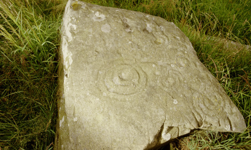 A stone carved with cup marks and circles