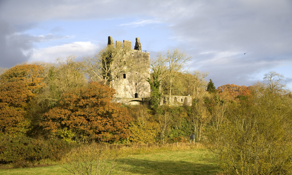 A general view of Cardoness Castle, showing its raised location and surrounding woodland.