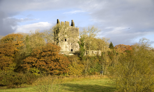 A general view of Cardoness Castle, showing its raised location and surrounding woodland.