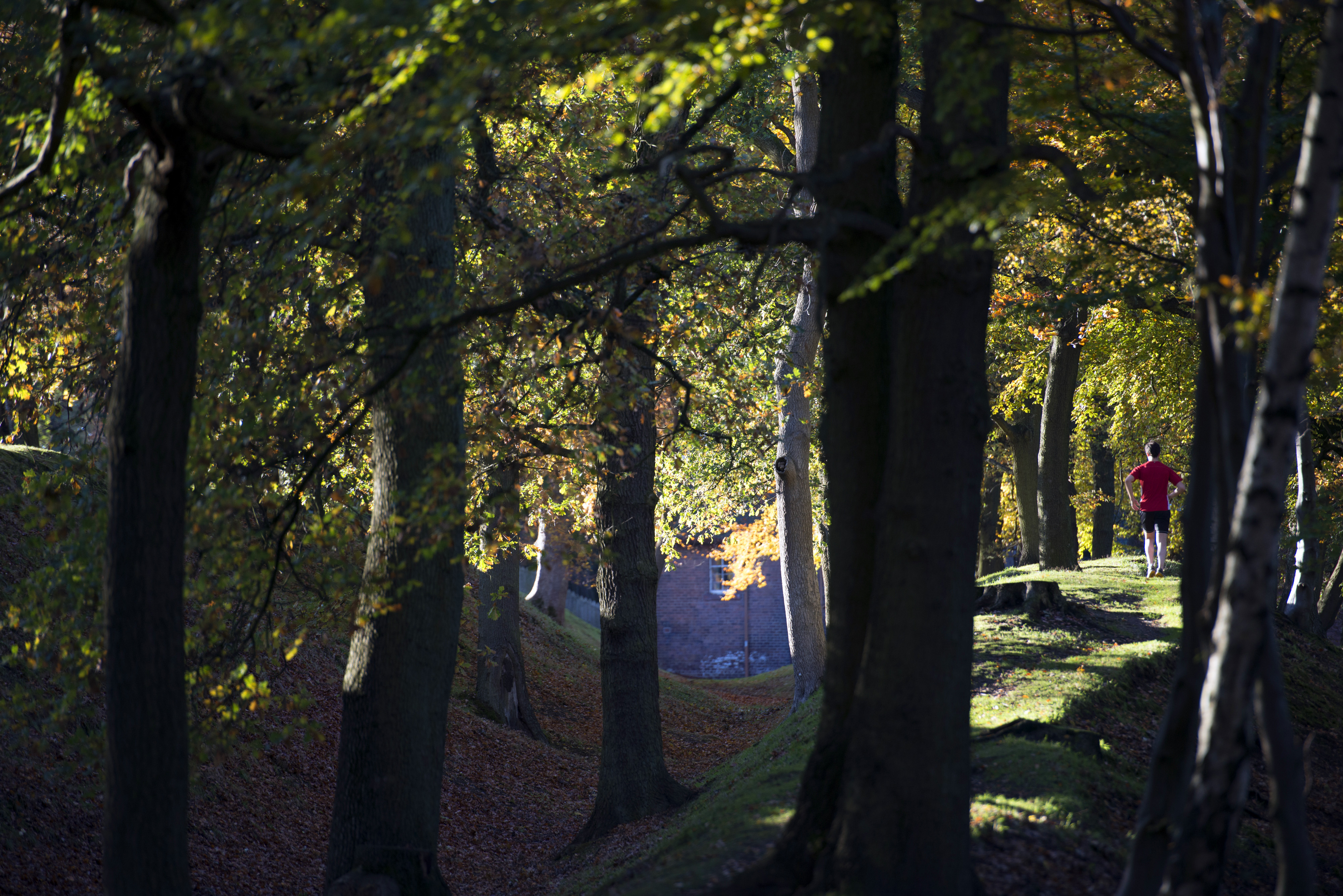 A runner on a rampart next to a ditch in a forest