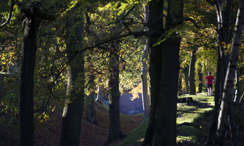 A runner on a rampart next to a ditch in a forest