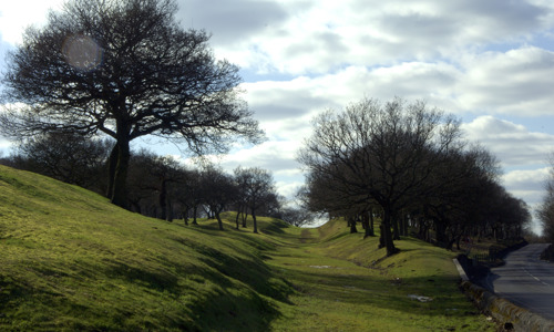 A grassy rampart