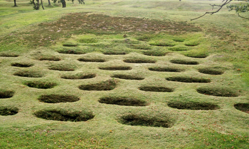 A field covered in Roman quarry pitches