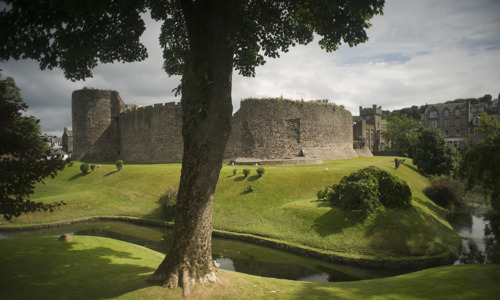 View of Rothesay Castle with stream and a tree