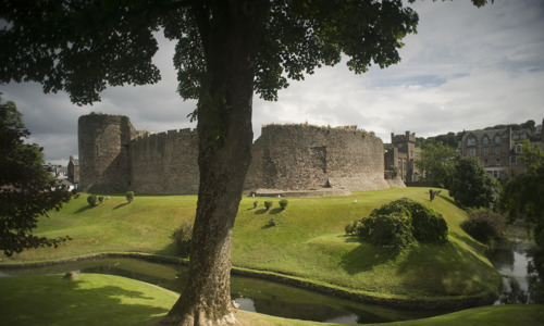 View of Rothesay Castle with stream and a tree
