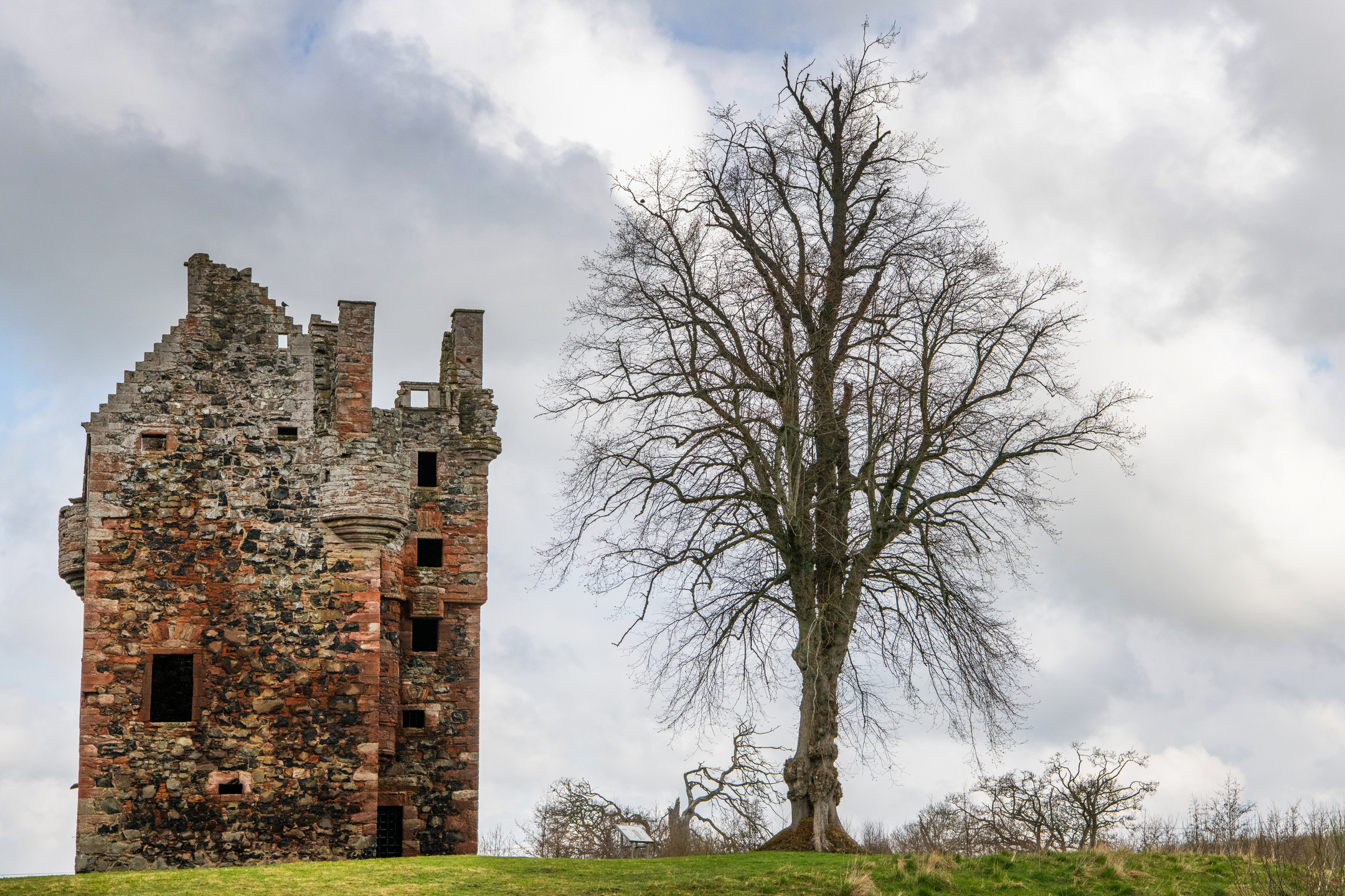 Small tower with red and grey stone beside a tree