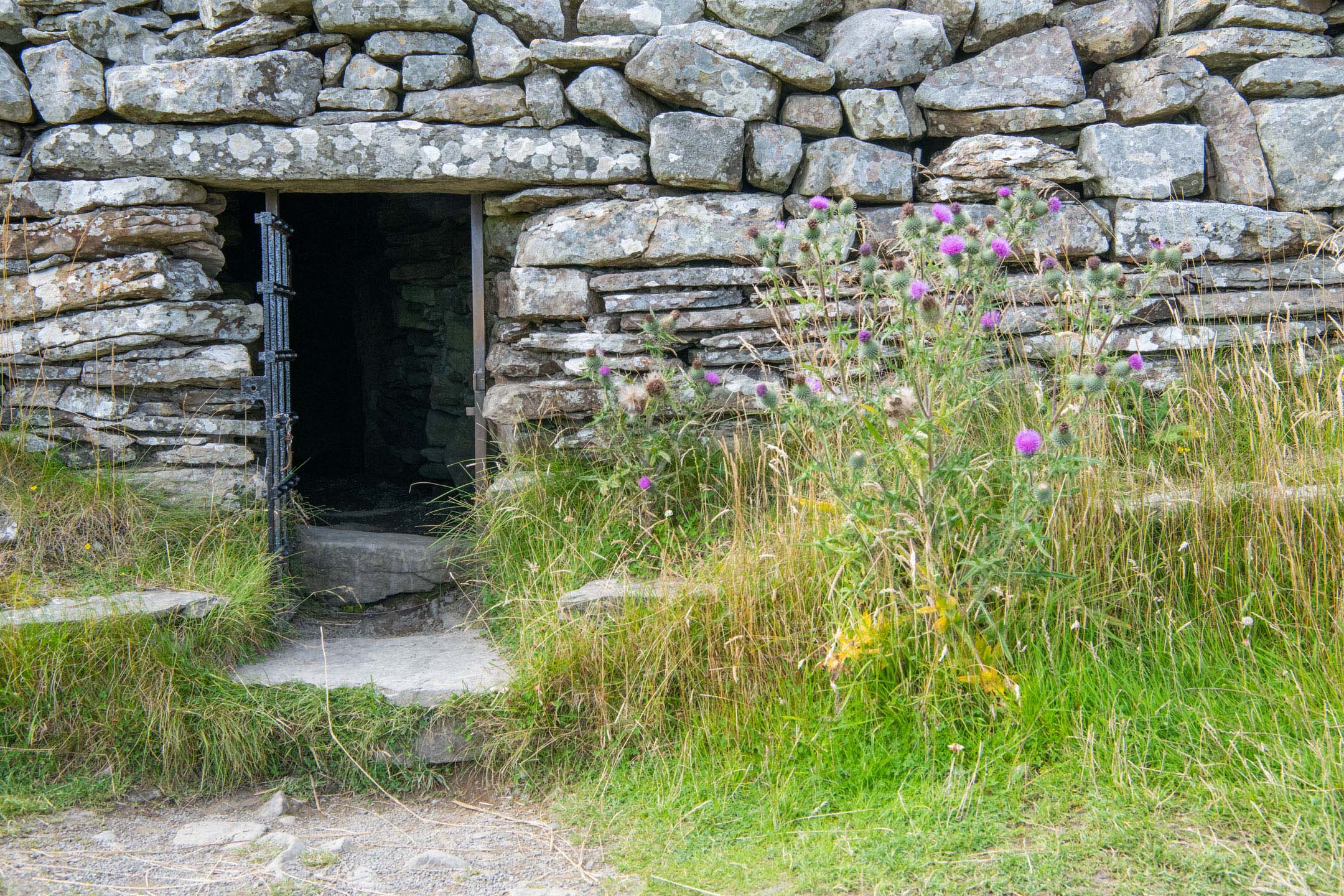 Stone entrance with iron gate and purple thistles in foreground.