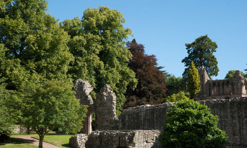 A general view of Dryburgh Abbey.