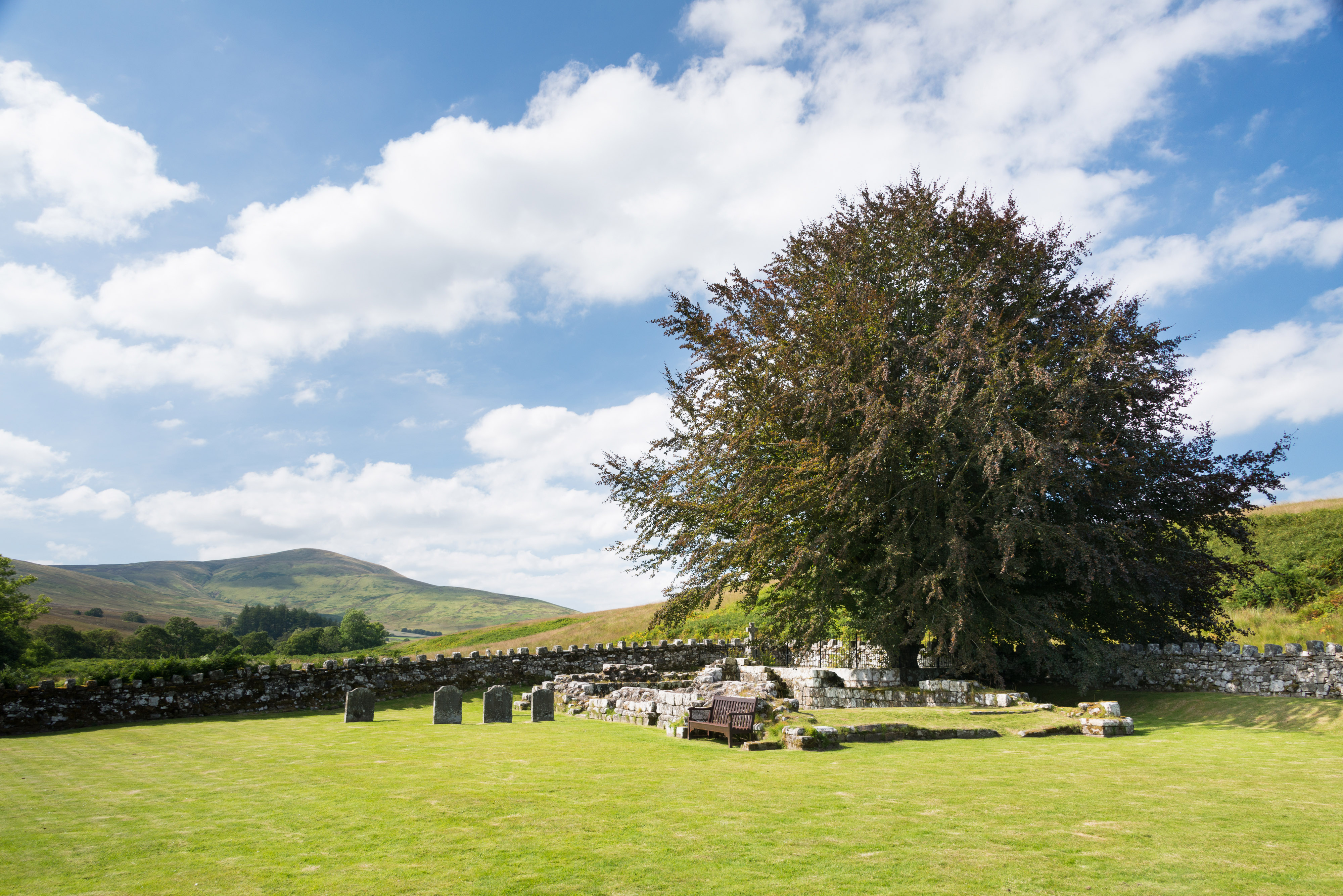 An exterior view of a tree and graveyard at Hermitage Castle, with surrounding farmland.