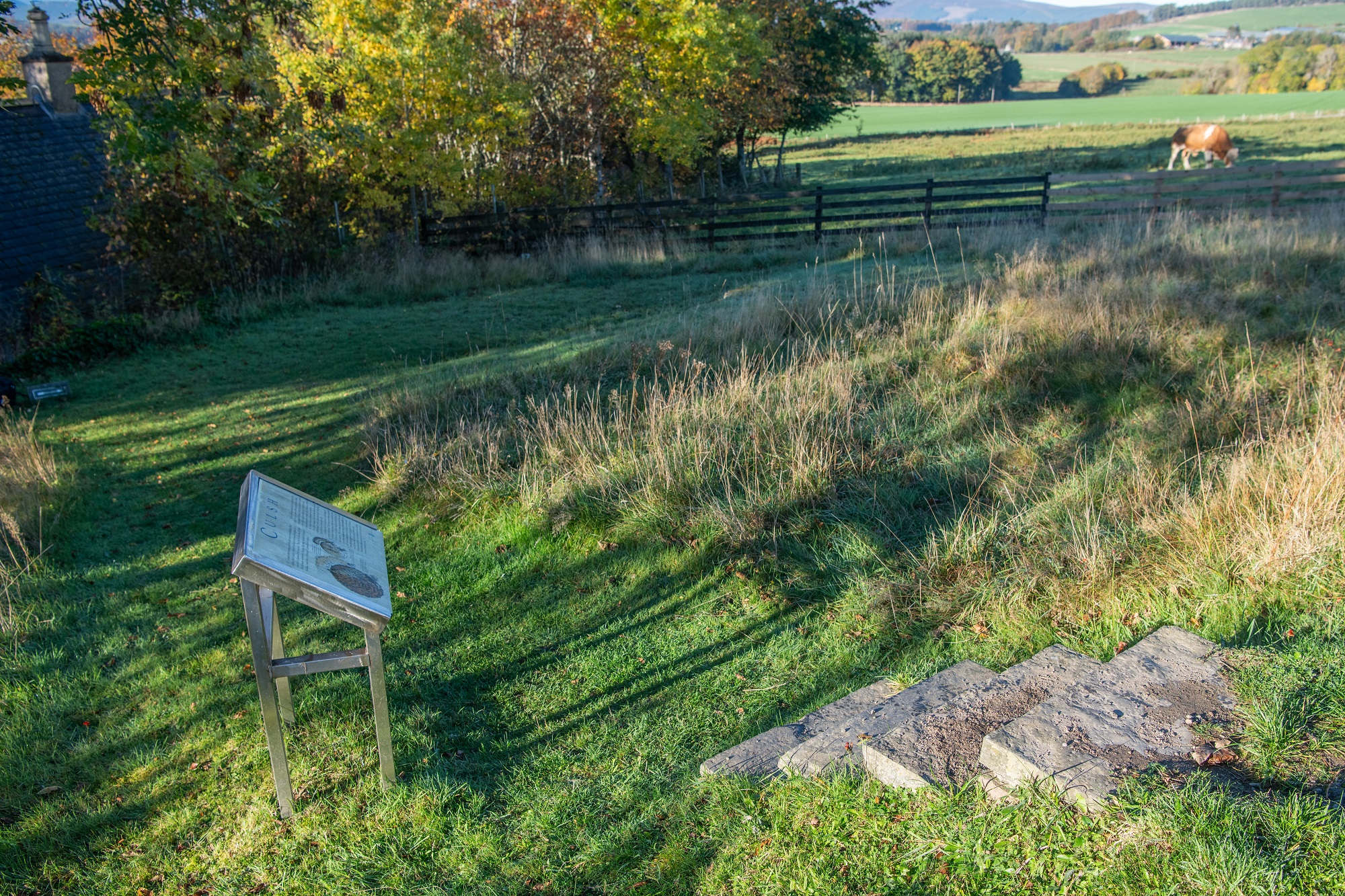 Four stone steps forming part of a path down a grassy mound. It passes a panel containing historical information before curving towards the entrance to an earth house. 