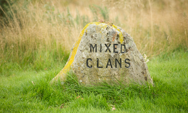 A clan grave marker at Culloden (© Crown Copyright HES)