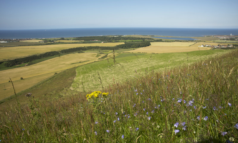 The battlefields of the first and second battles of Dunbar (© Crown Copyright HES)