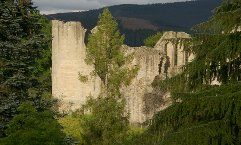 A view of Kildrummy Castle and surrounding woodland.