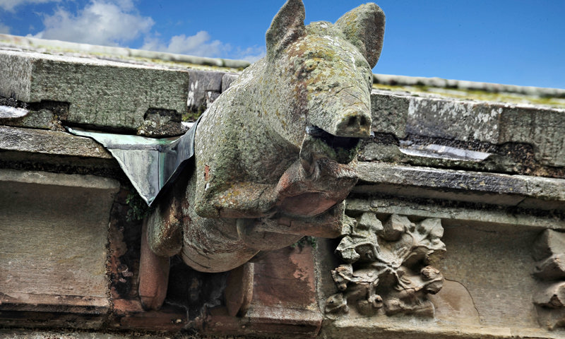 The famous carving of a pig playing bagpipes at Melrose Abbey.