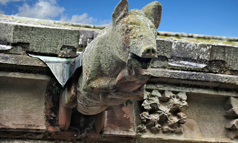 The famous carving of a pig playing bagpipes at Melrose Abbey.
