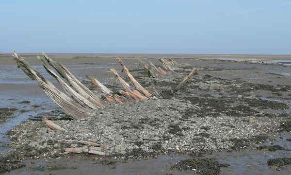 Wooden sticks emerging from the sand on the shoreline.
