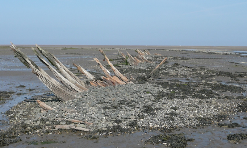 Wooden sticks emerging from the sand on the shoreline.