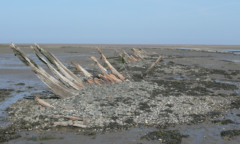 Wooden sticks emerging from the sand on the shoreline.