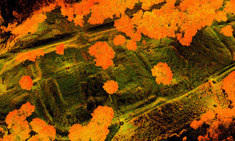 A 3D point cloud of Rough Castle Roman Fort on the Antonine Wall, generated as part of the Scottish Ten project.