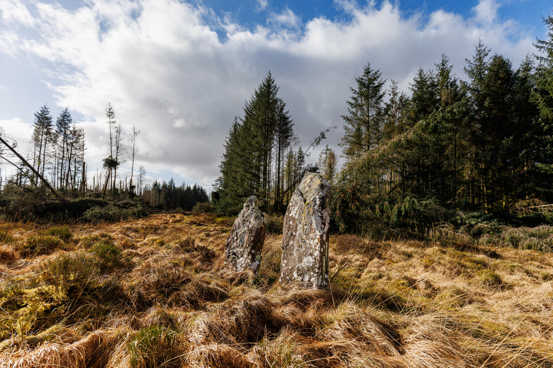Two standing stones in a grassy moor with forest behind them on a day with blue sky and a mass of white clouds