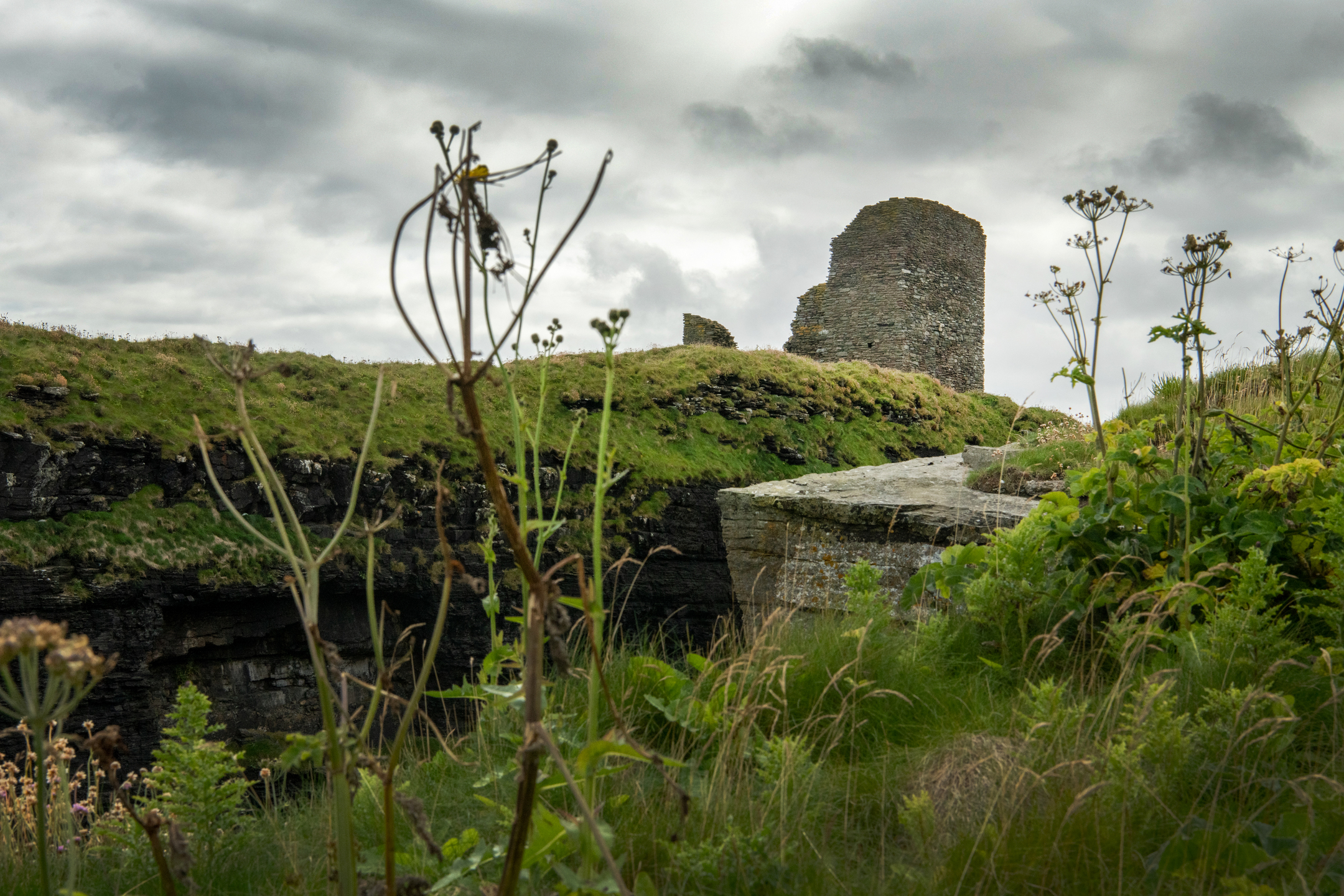 Castle remains photographed from ground level between weeds