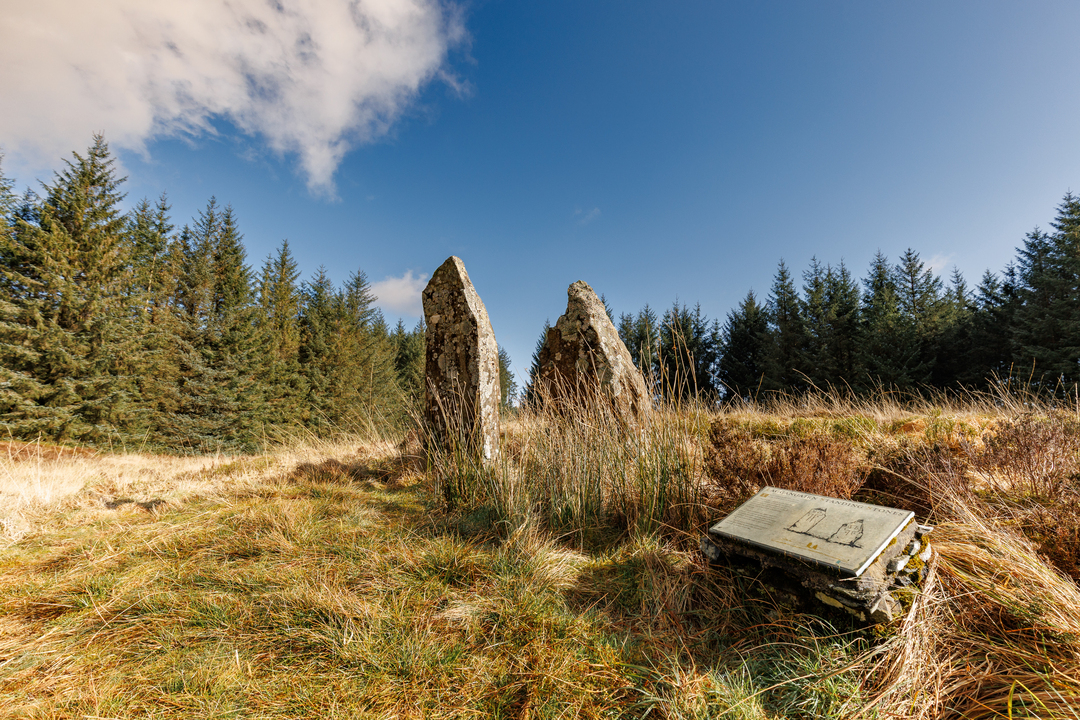Two standing stones in a grassy moor with forest behind. Beside the standing stones is a panel with information on their history